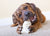 brindle hound with a rawhide bone