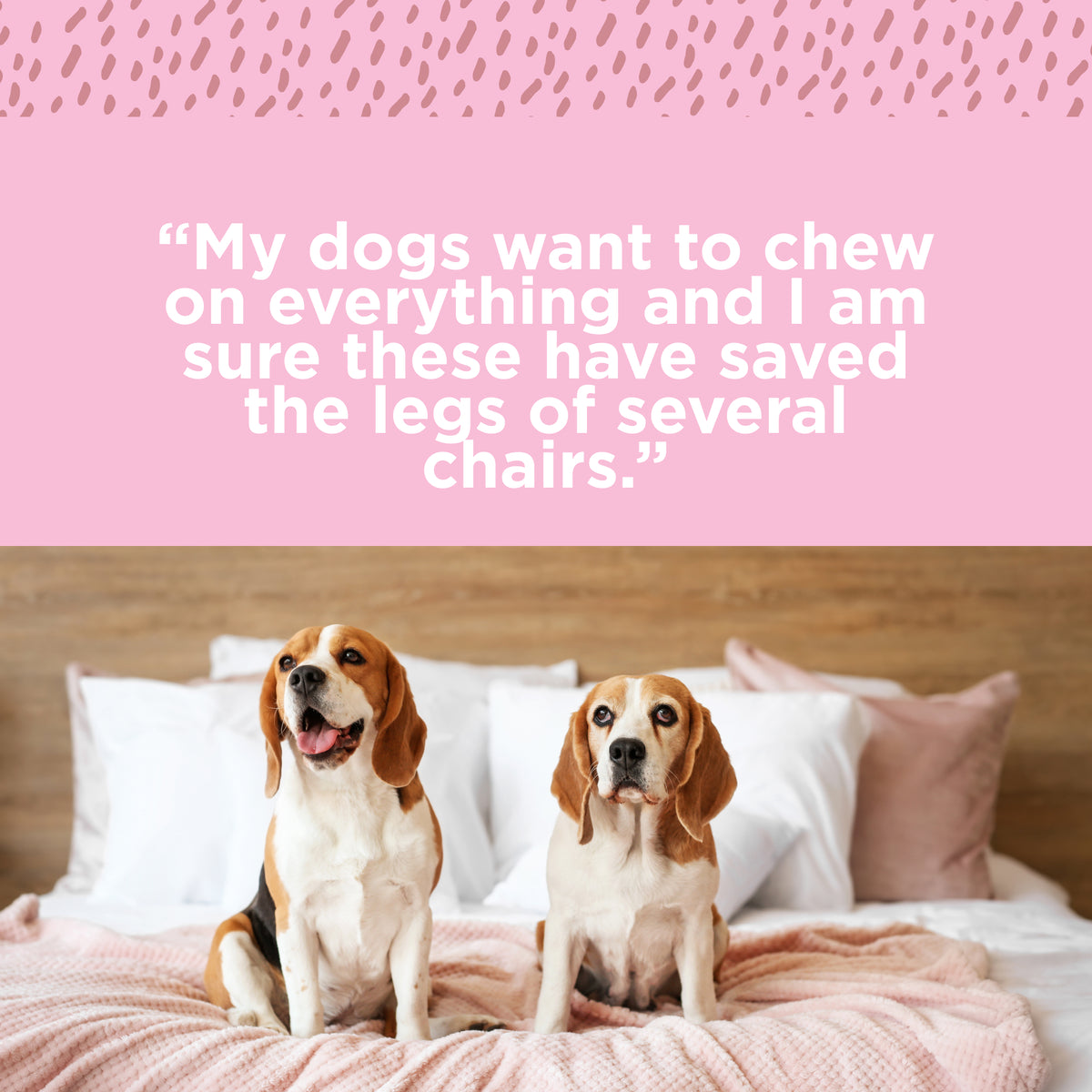 Dogs want to chew on everything and I am sure they had the legs of several chairs using Paw Love PW 6&quot; PB ICBN Bully Sticks 4pk.