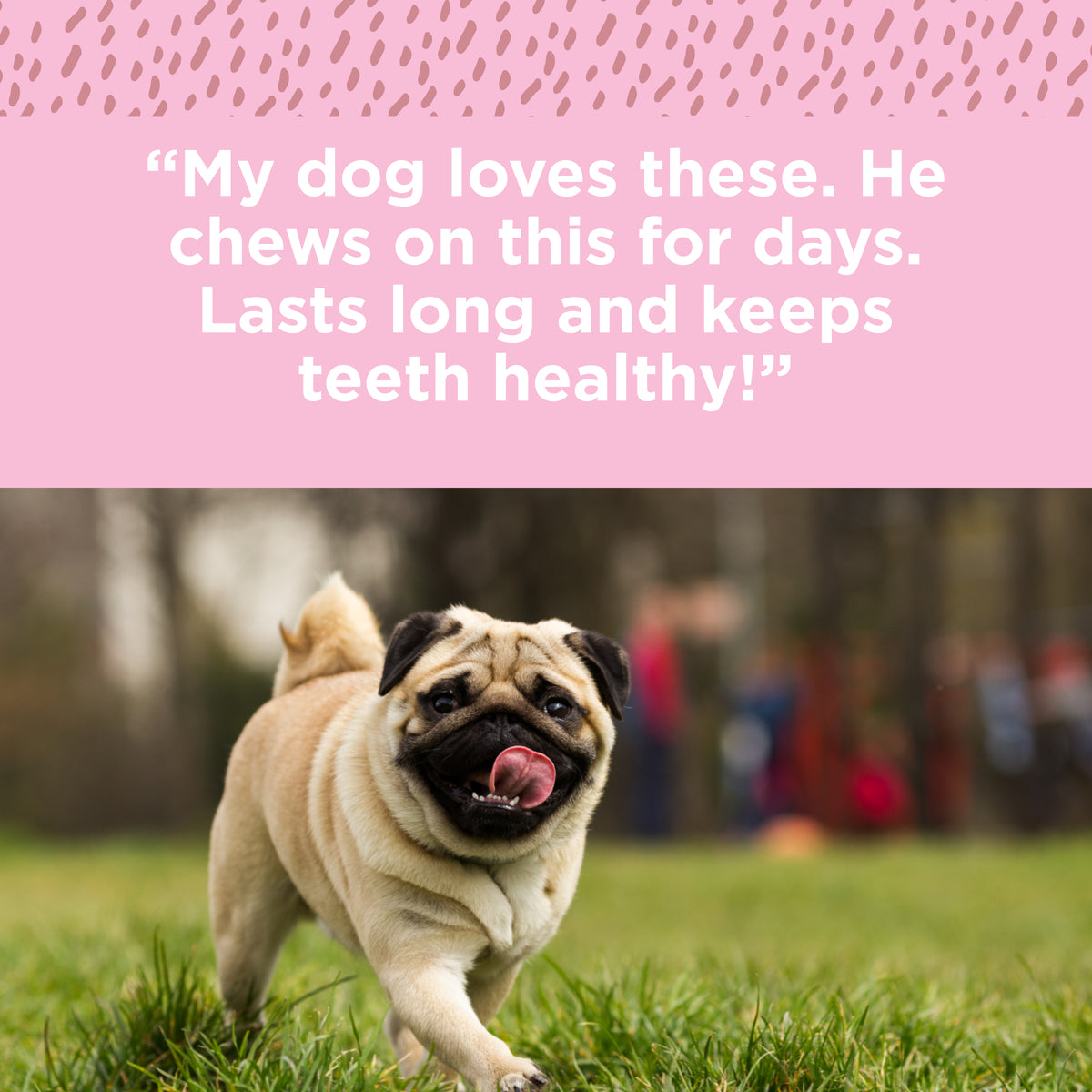 My dog loves the PW Split Elk Antler 1 Pack from Paw Love. He chews on this for days, it lasts long, and keeps him healthy.