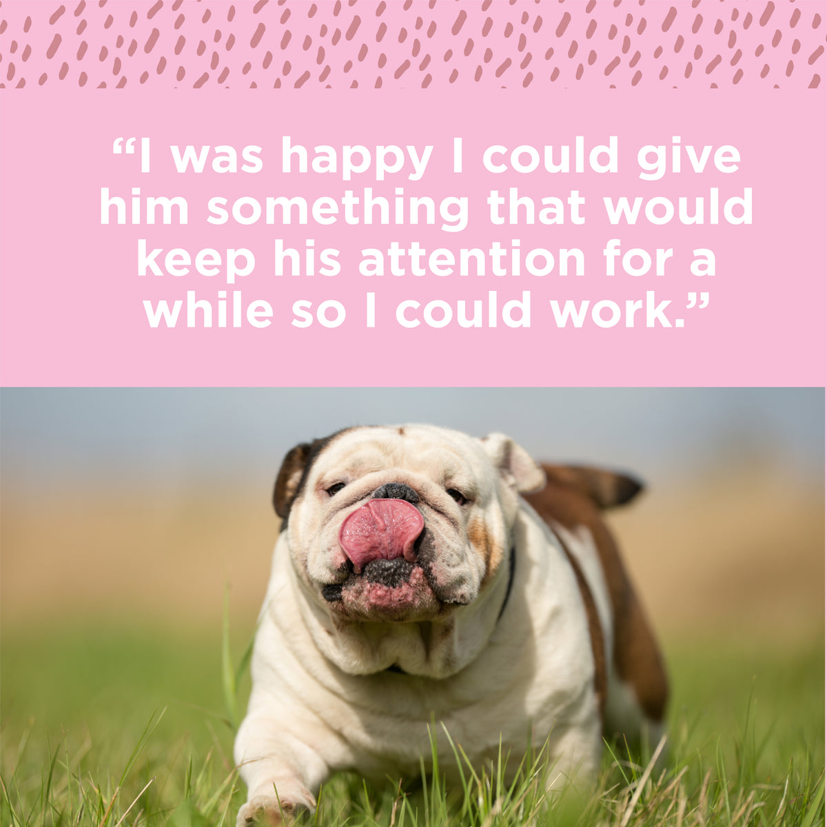 A picture of a dog with a quote that says, &quot;I was happy I could give him Paw Love&#39;s PW Yak Cheese 1 Pack that would keep his attention so.