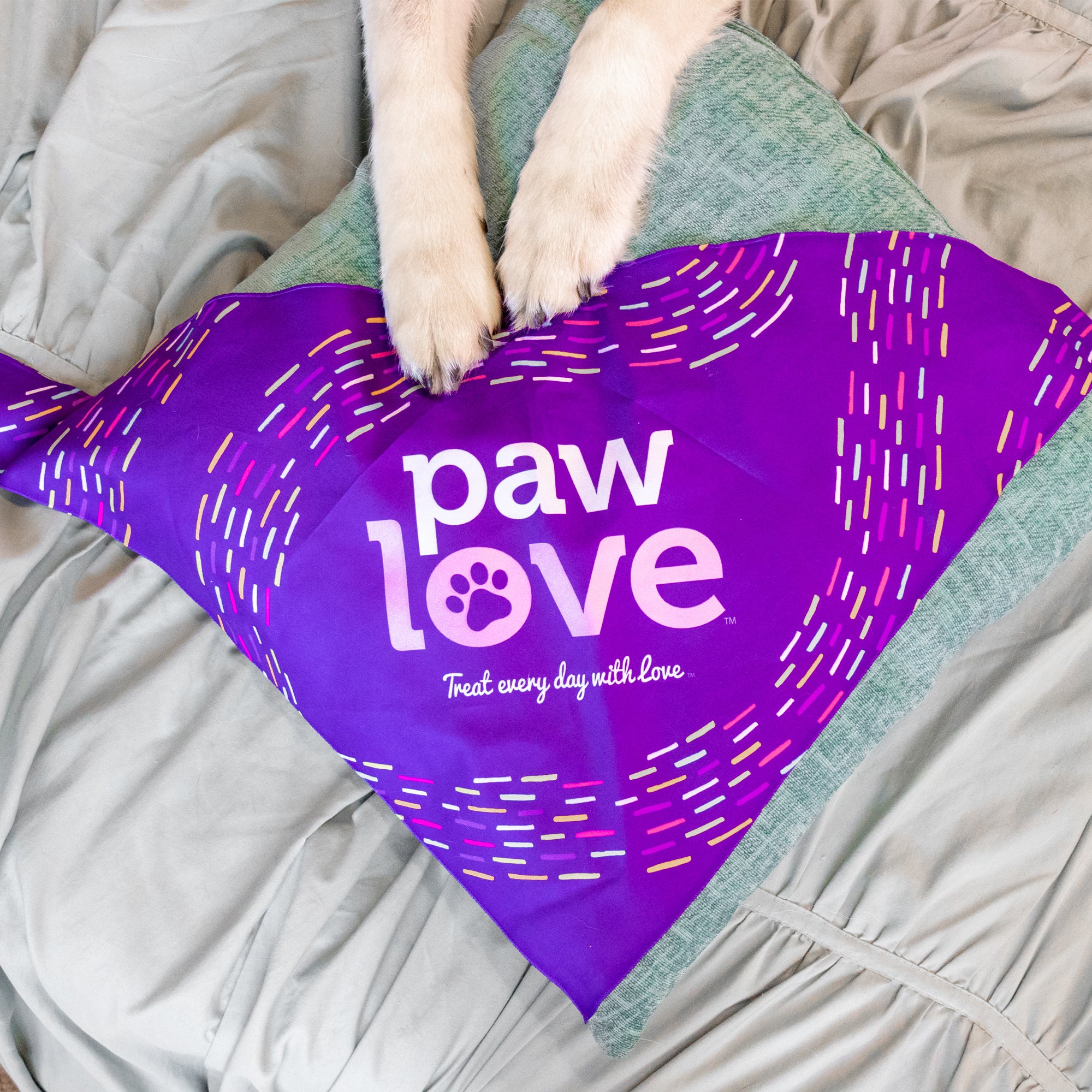 Paw Love Bandana