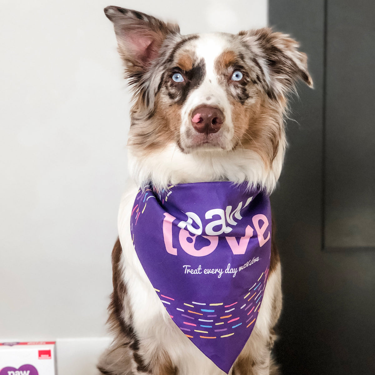 Paw Love Bandana