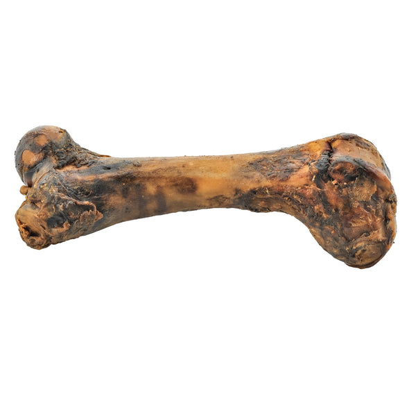 Are pork femurs safe for dogs Clearance